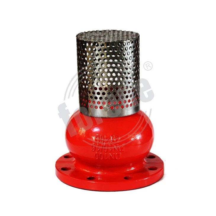 Foot Valve With Strainer suppliers
